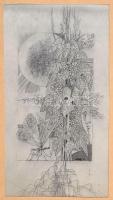 Nagy jelzéssel: Filodendron pillangóval, rézkarc, papír, paszpartuban, 20×11 cm