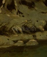 Molnár jelzéssel: Hegyvidéki táj. Olaj, vászon (kis szakadással), keretben, 60×80 cm