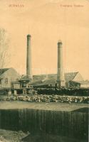 Zsupanya, Zupanja; Tvornica Tanina. / Tannin (csersav) gyár. W. L. Bp. 6594. / tannin factory (fa)