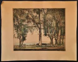 Herman Lipót (1884-1972): Balaton, színezett rézkarc, papír, jelzett, 28,5×35 cm