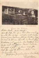 1898 Schierke, villas (EK)