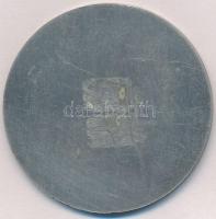 Amerikai Egyesült Államok DN "U.S. Air Forces in Europe" egyoldalas fém emlékérem (50mm) T...