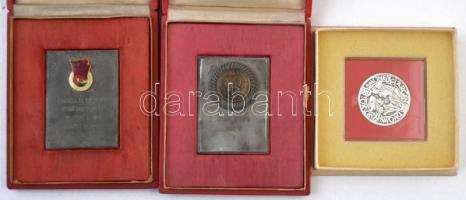 Kis doboznyi vegyes sportérem és díjplakett tétel, nagyrészt úttörő olimpia, közte 1955. "100. ...