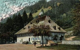 Shlisselburg, mountain hotel and restaurant (EK)