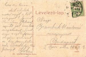 Nyitra, Nitra; Zobor-nyaraló. Schwarz A. kiadása 696. / mountain and summer resort