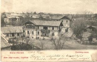 1906 Csíz-fürdő, Kúpele Ciz; Fürdőtelepi részlet nyaralókkal / spa resort with villas (Rb)