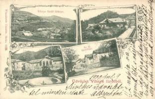 1900 Vihnye, Kúpele Vyhne; új fürdőház / new spa. floral