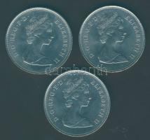 Nagy-Britannia 1981. 25p (3x) "Diana és Károly" T:2