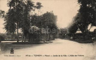 Tonkin, Hanoi; Jardin de la Ville, LAllée des Voileres / garden, alley