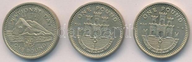 Gibraltár 1995-2002. 1Ł (3xklf) T:2 Gibraltar 1995-2002. 1 Pound (3xdiff) C:XF