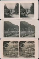 cca 1910 12 db vegyes külföldi sztereofotó.Norvégia, Tirol, Németország, / 12 stereo photos Germany,...