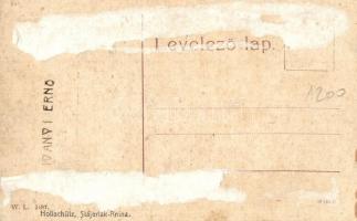 Anina, Stájerlakanina, Steierdorf; Vasgyári látkép, bánya telep. W. L. 1187. Hollschütz kiadása / ir...