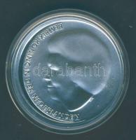 Hollandia 2002. 10€ Ag "Willem-Alexander & Maxima" házasságkötésének alkalmá...