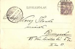 1900 Szeged, Színház, Stefánia sétány. Schmidt Edgar kiadása (EK)