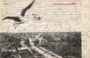 1913 Buziásfürdő, Baile Buziás; csecsemőt vivő gólya / stork with baby