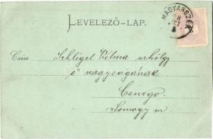 1898 Pécs, Magyar Nemzeti Színház este. Kiadja Günsberger Lajos (EK)