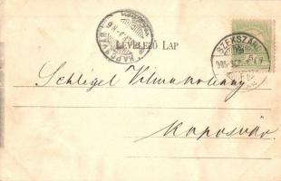 1905 Szekszárd, utcakép, templom. Fischhof Mór kiadása (EK)