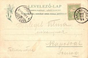 1903 Tátra, Tatry; Fehérpataki völgy, Zöld tó a Frigyes főherceg menházzal, Karbunkulustorony a ködb...