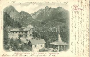 1899 Tátra, Tatry; Tarpatakfüred szálloda, Lomnici csúcs / Hotel Kohlbach, Lomnitzerspitze / Lomnicky stít / hotel and mountain peak (EK)