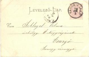 1899 Tátra, Tatry; Tarpatakfüred szálloda, Lomnici csúcs / Hotel Kohlbach, Lomnitzerspitze / Lomnick...
