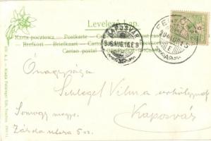 1906 Fenyőháza, Lubochna; Erzsébet szálloda. Kiadja Feitzinger Ede 1904/14. 650. / Hotel Elisabet