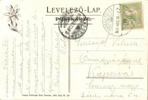 1906 Fenyőháza, Lubochna; Villa Köri nyaraló. Kiadja Feitzinger Ede 1905. 881. / villa (EK)