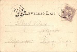 1900 Kassa, Kosice; Kir. ítélőtábla, Evangélikus templom. Nyulászi Béla kiadása 12. sz. / high court...