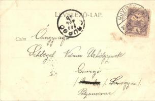 1900 Újvidék, Neusatz, Novi Sad; látkép. Kiadja Nachbargauer János / general view (kis szakadás / sm...