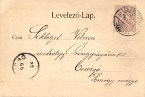 1899 Újvidék, Neusatz, Novi Sad; Mayer szálloda, Mayer Imre sörcsarnoka, piaci árusok. Kiadja Hans N...