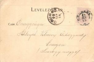 1899 Szabadka, Subotica; Kossuth utca. Kiadja Hans Nachbargauer / street view (EB)