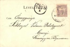 1900 Szabadka, Subotica; Nemzeti Casino (kaszinó). Kiadja Hans Nachbargauer / casino (EK)