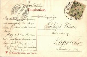 1906 Zágráb, Agram, Zagreb; Botanicki vrt / Jardin botanique / Botanic garden, park (r)