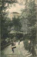 1906 Zágráb, Agram, Zagreb; Put na Strosmajerovo setaliste / road to Strossmayer promenade (EK)