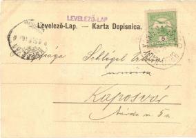 1906 Zágráb, Agram, Zagreb; Dio trga Franje Josipa / Ferenc József tér. Photogr. Mosinger / Franz Jo...