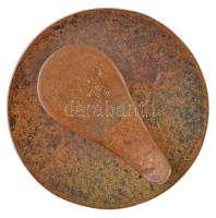 ~1910. "Salgótarjáni Acélgyári Olvasóegylet - 1878" zománcozott Br jelvény, hátoldalán &qu...