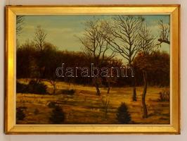 Szabó Lajos (1927-1995): Ősz. Olaj, farost, jelzett, keretben, 50×70 cm