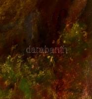 Kapicz Margit (1921-1995): Öreg diófa. Pasztell, papír, jelzett, üvegezett keretben, 30×47 cm