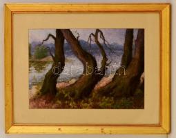 Kapicz Margit (1921-1995): Öreg diófa. Pasztell, papír, jelzett, üvegezett keretben, 30×47 cm