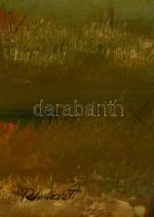 Reinhardt István (1936-): Nádas. Olaj, farost, jelzett, keretben, 40×60 cm