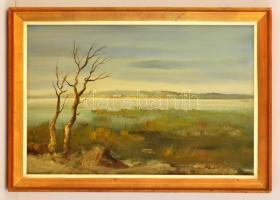 Reinhardt István (1936-): Nádas. Olaj, farost, jelzett, keretben, 40×60 cm