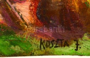 Koszta jelzéssel: Házudvar. Olaj, farost, 19×26 cm