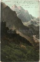 87 db régi magyar és történelmi magyar városképes lap, sok Budapest; vegyes minőség / 87 pre-1945 Hu...