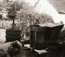 1948 Ceglédi szüret, 32 fotót tartalmazó negatív tekercs