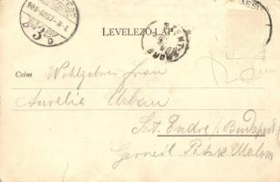 1900 Temesvár, Timisoara; Gyárváros. Bega balsor / Bega riverside (szakadás / tear)