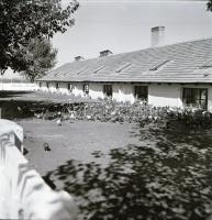 cca 1960-1970 Kecskeméti részletek, 12 db ftoónegatív, 6×6 cm