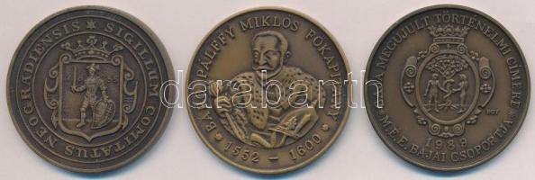 Bognár György (1944-) 1988. "MÉE Nógrád megye - Nógrádi várak sorozat - Buják vára" Br eml...