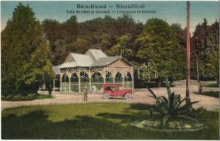 Bikszád-fürdő, Baile Bixad; Sala de baut si izvoare / Ivócsarnok és források, automobil. Jónás Ármin Nr. 5. 1929. / drinking hall, mineral springs, automobile
