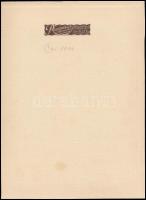 cca 1920-1930 Hölgy műtermi portréja, kartonra kasírozott fotó Rozgonyi műterméből, matricával jelze...