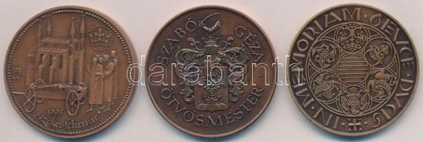 Vegyes: Fritz Mihály (1947-) 1995. "MÉE Székesfehérvár - I. Szent László" Br emlékérem (42...