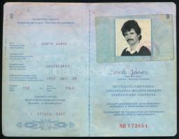 1989 Fényképes magyar útlevél, nagyon sok bélyegzéssel (NDK, román, török, stb.)